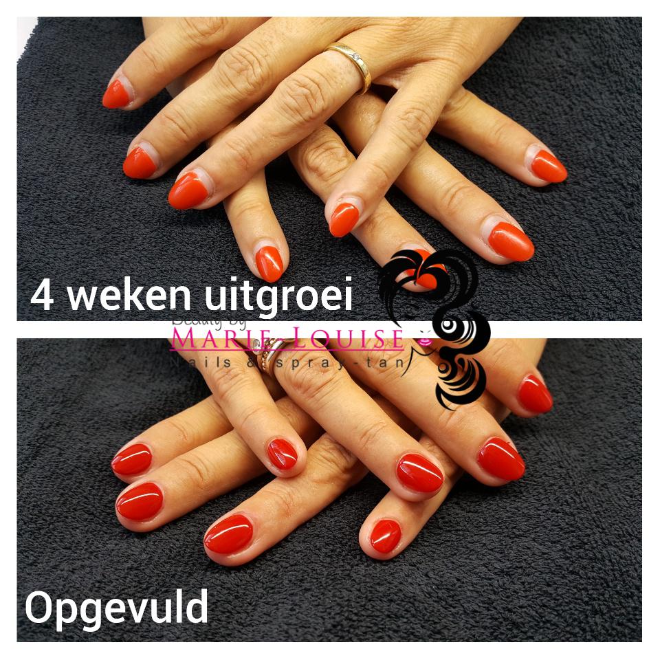 4 weken uitgroei met opvulling