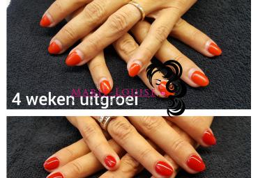 4 weken uitgroei met opvulling